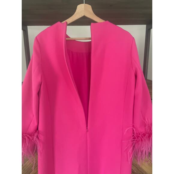 Tuckernuck Hot Pink Feather Mod Mary Dress Small - Picture 8 of 10